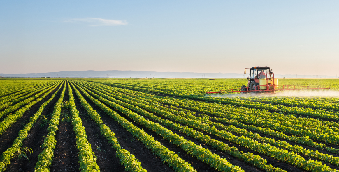 Banner do seguro agro