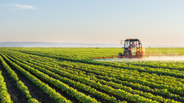 Banner do seguro agro