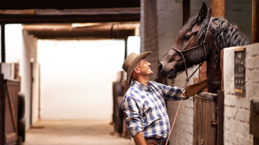 Banner do seguro animais