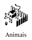 Animais